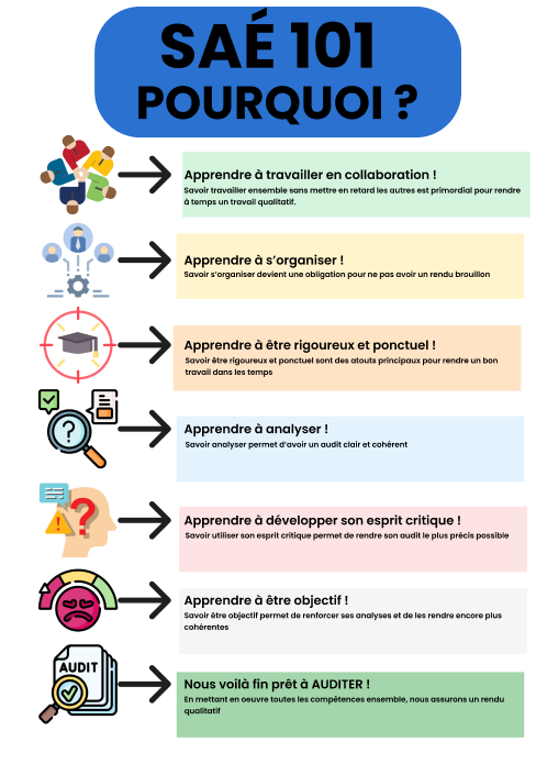 Audit numérique